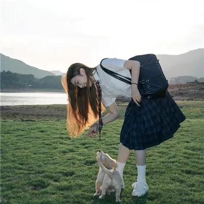 缅因姐妹 在线观看封面